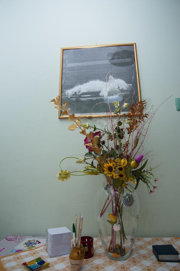 Alma B&B Crotone Exterior foto